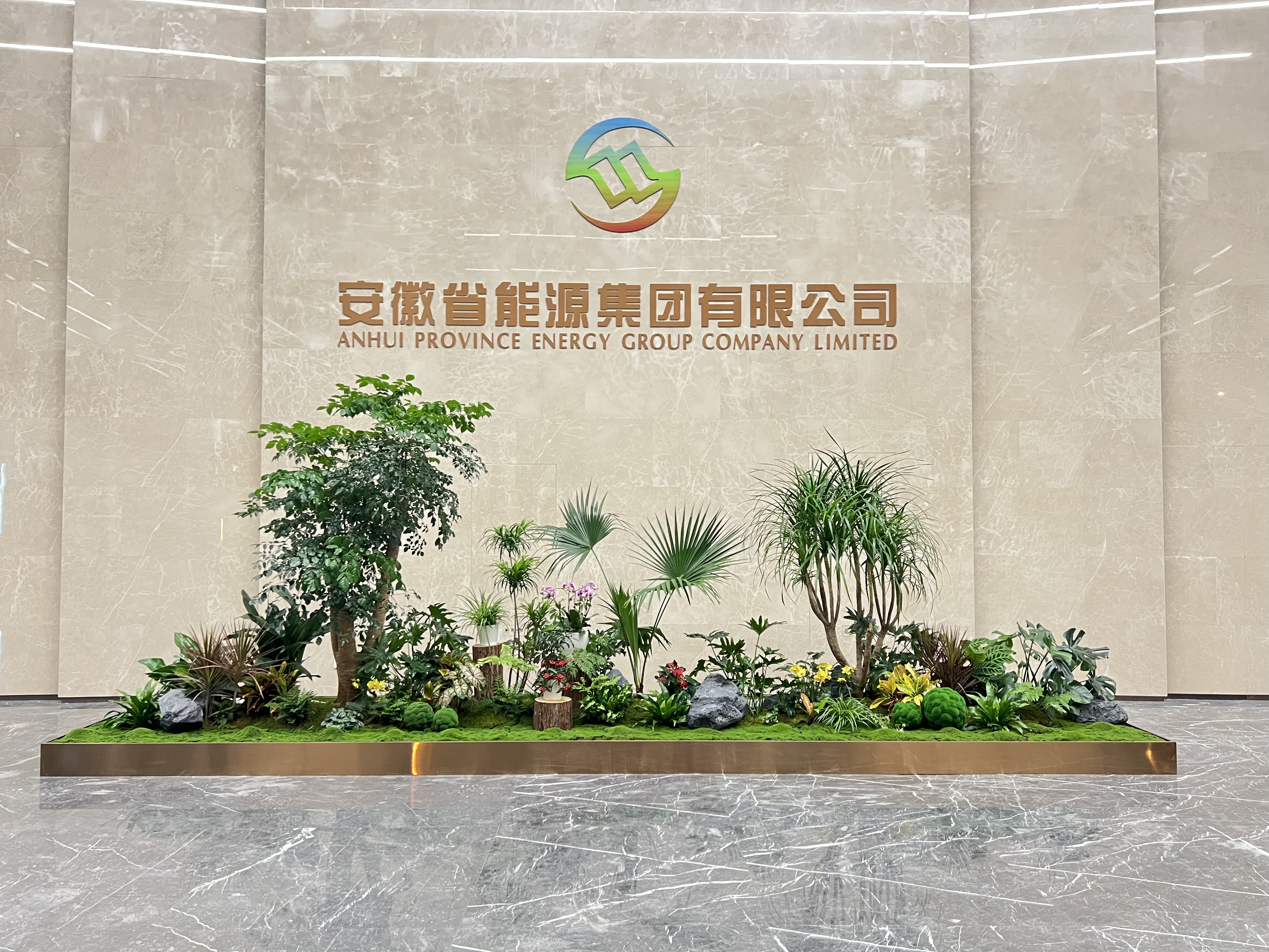 余姚盆景出租,用绿植装点美好生活